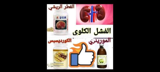 صيدلية الدواء لكل داء من DXN - 4