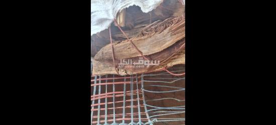 نهر النيل شند - 2